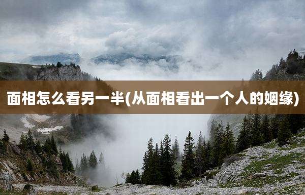 面相怎么看另一半(从面相看出一个人的姻缘)