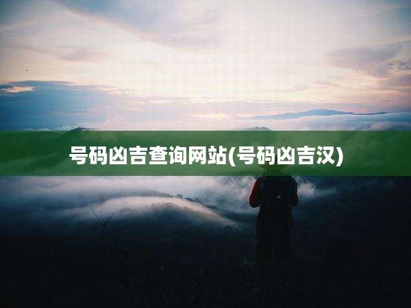 号码凶吉查询网站(号码凶吉汉)