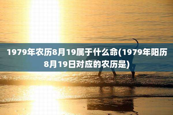 1979年农历8月19属于什么命(1979年阳历8月19日对应的农历是)