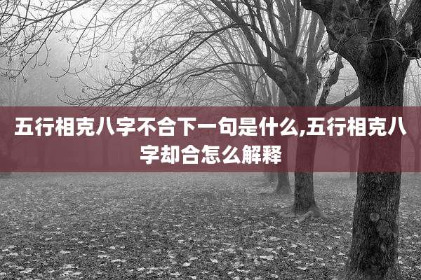五行相克八字不合下一句是什么,五行相克八字却合怎么解释