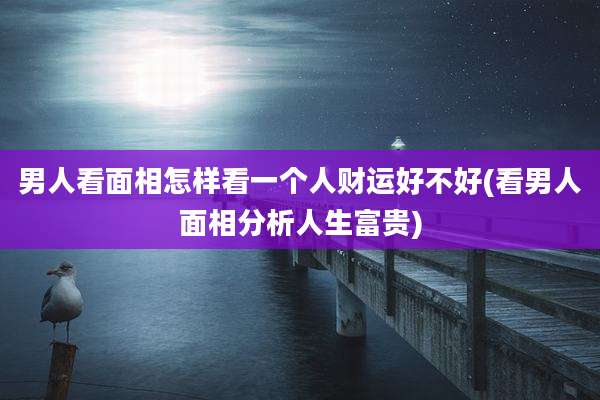 男人看面相怎样看一个人财运好不好(看男人面相分析人生富贵)