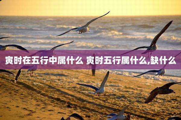 寅时在五行中属什么 寅时五行属什么,缺什么