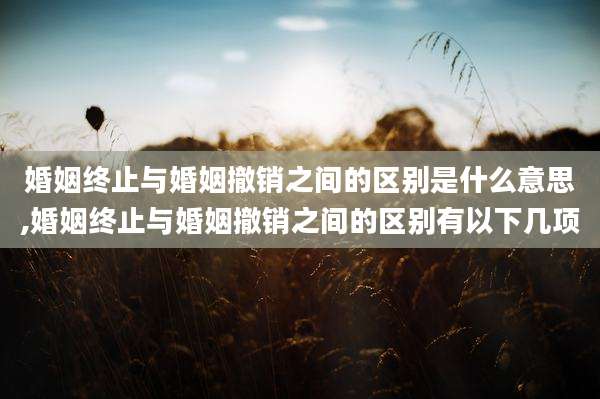 婚姻终止与婚姻撤销之间的区别是什么意思,婚姻终止与婚姻撤销之间的区别有以下几项