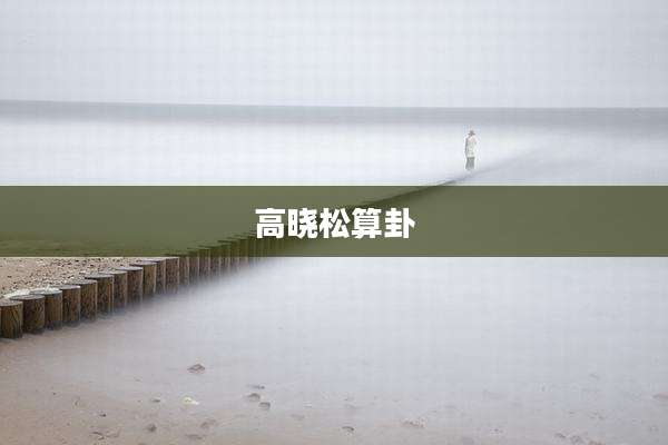 高晓松算卦