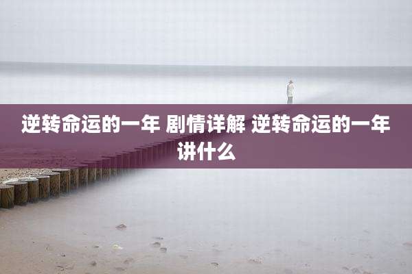逆转命运的一年 剧情详解 逆转命运的一年讲什么