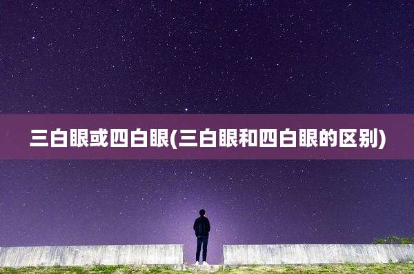 三白眼或四白眼(三白眼和四白眼的区别)