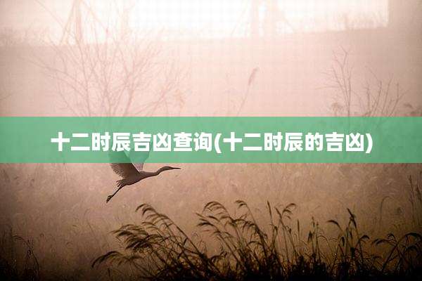 十二时辰吉凶查询(十二时辰的吉凶)