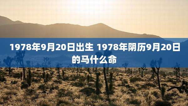 1978年9月20日出生 1978年阴历9月20日的马什么命