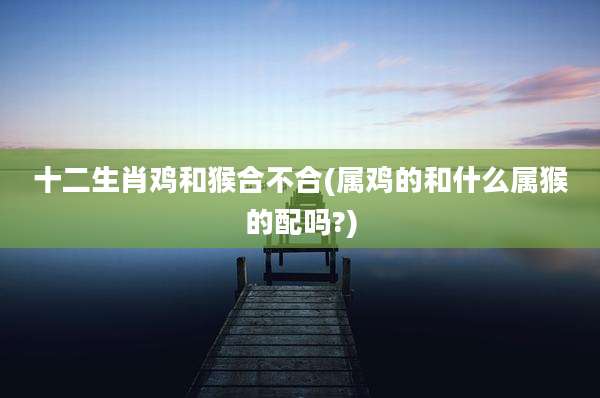 十二生肖鸡和猴合不合(属鸡的和什么属猴的配吗?)