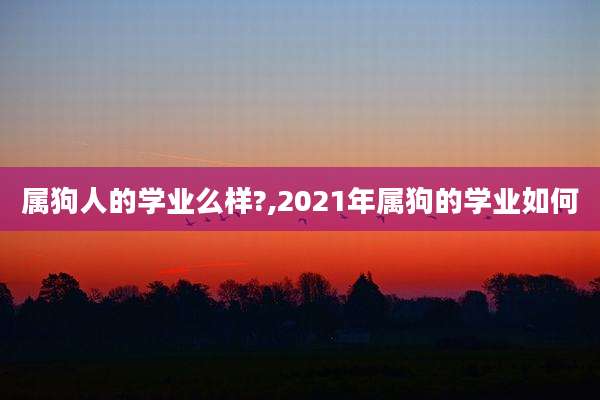 属狗人的学业么样?,2021年属狗的学业如何