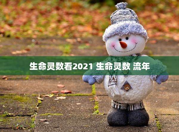 生命灵数看2021 生命灵数 流年