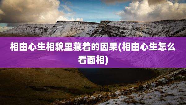 相由心生相貌里藏着的因果(相由心生怎么看面相)