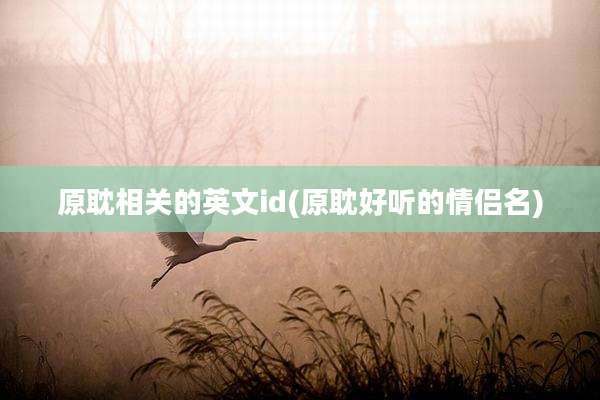 原耽相关的英文id(原耽好听的情侣名)