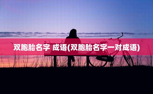 双胞胎名字 成语(双胞胎名字一对成语)