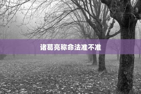 诸葛亮称命法准不准