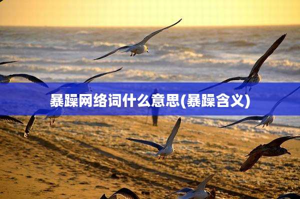暴躁网络词什么意思(暴躁含义)