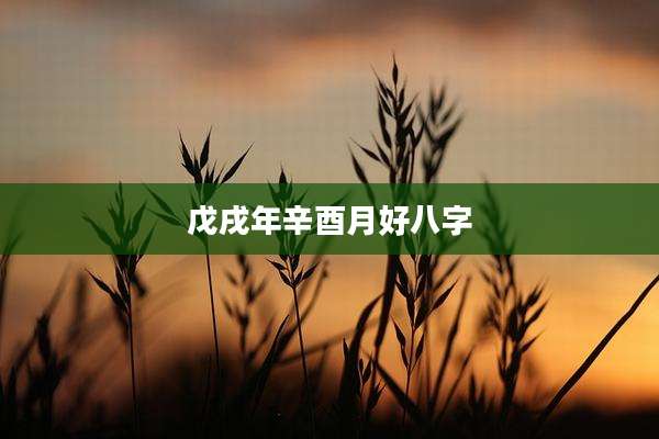 戊戌年辛酉月好八字