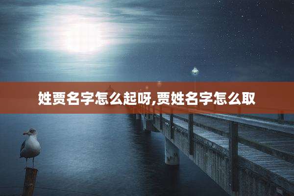 姓贾名字怎么起呀,贾姓名字怎么取