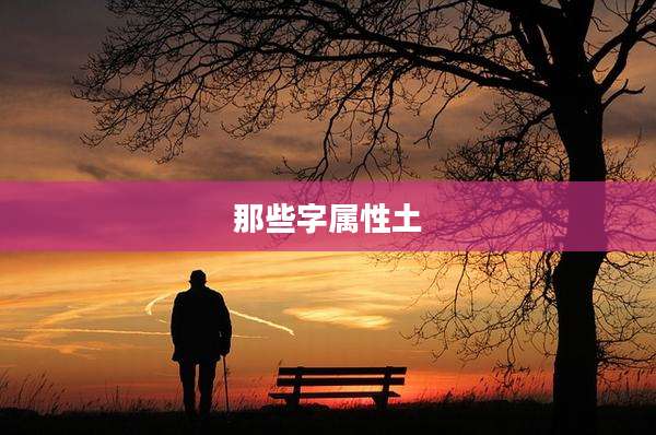 那些字属性土