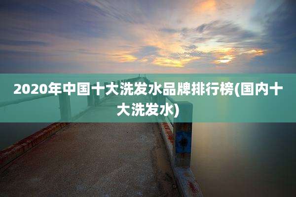 2020年中国十大洗发水品牌排行榜(国内十大洗发水)