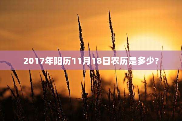 2017年阳历11月18日农历是多少?