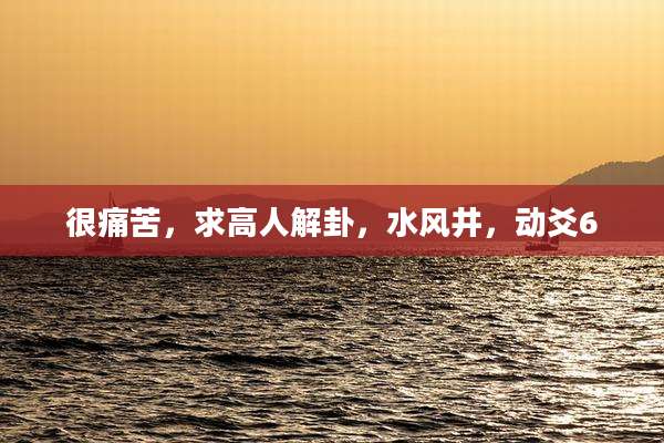 很痛苦,求高人解卦,水风井,动爻6