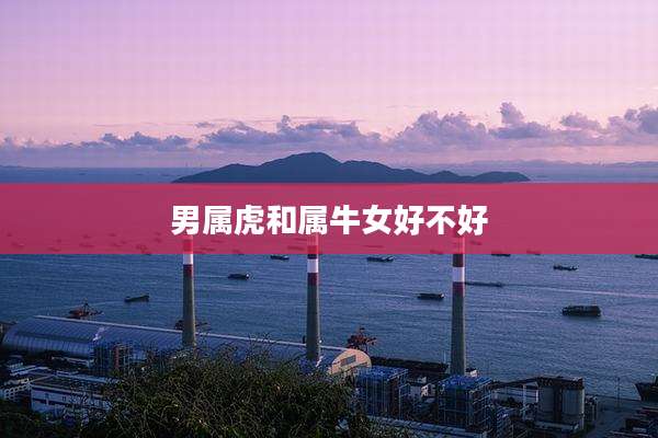 男属虎和属牛女好不好