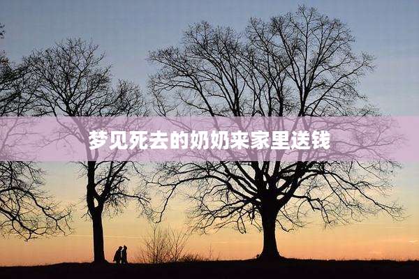 梦见死去的奶奶来家里送钱