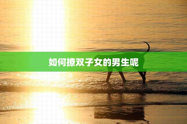 如何撩双子女的男生呢