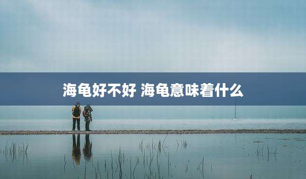 海龟好不好 海龟意味着什么
