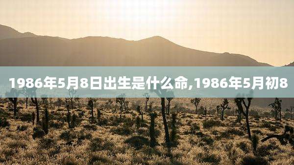 1986年5月8日出生是什么命,1986年5月初8