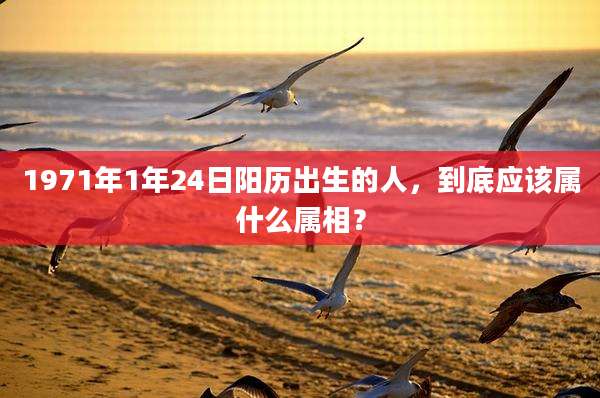 1971年1年24日阳历出生的人，到底应该属什么属相？