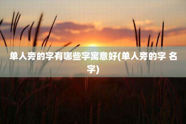 单人旁的字有哪些字寓意好(单人旁的字 名字)