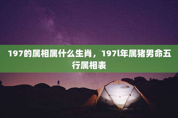 197的属相属什么生肖,197l年属猪男命五行属相表