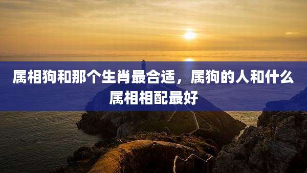 属相狗和那个生肖最合适，属狗的人和什么属相相配最好