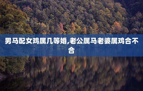 男马配女鸡属几等婚,老公属马老婆属鸡合不合