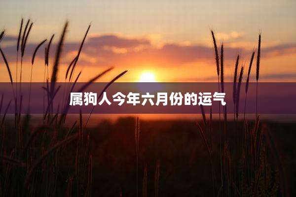 属狗人今年六月份的运气