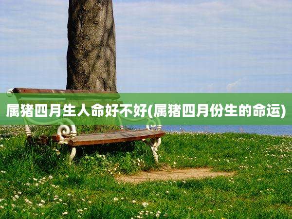 属猪四月生人命好不好(属猪四月份生的命运)