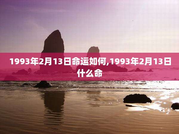 1993年2月13日命运如何,1993年2月13日什么命