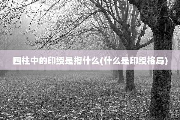 四柱中的印绶是指什么(什么是印绶格局)