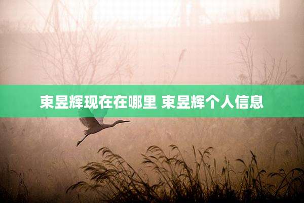 束昱辉现在在哪里 束昱辉个人信息