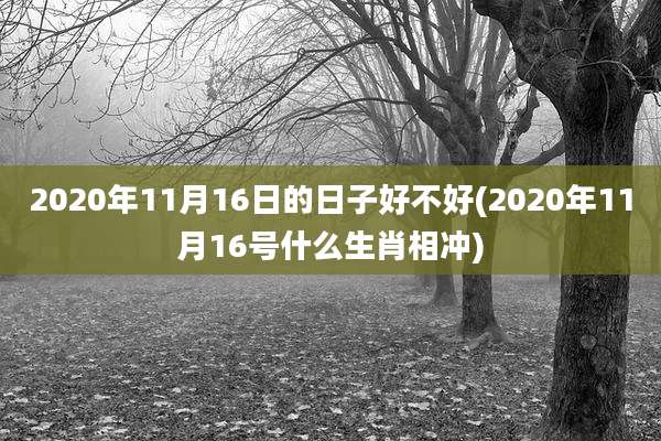 2020年11月16日的日子好不好(2020年11月16号什么生肖相冲)
