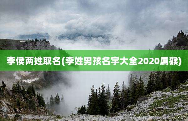 李侯两姓取名(李姓男孩名字大全2020属猴)