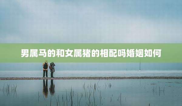男属马的和女属猪的相配吗婚姻如何