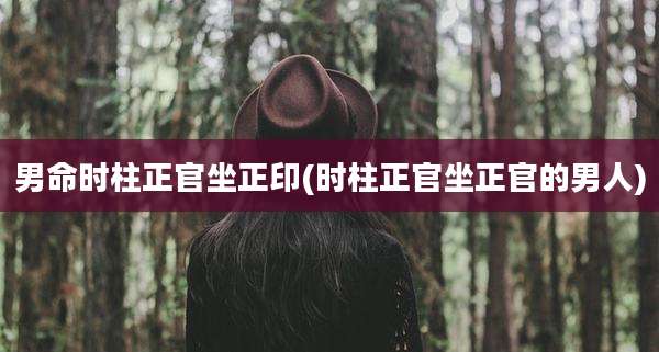 男命时柱正官坐正印(时柱正官坐正官的男人)