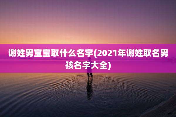 谢姓男宝宝取什么名字(2021年谢姓取名男孩名字大全)