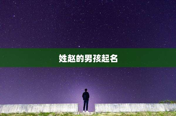 姓赵的男孩起名