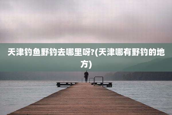 天津钓鱼野钓去哪里呀?(天津哪有野钓的地方)