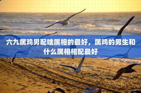 六九属鸡男配啥属相的最好,属鸡的男生和什么属相相配最好