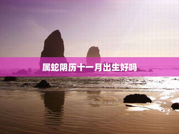 属蛇阴历十一月出生好吗